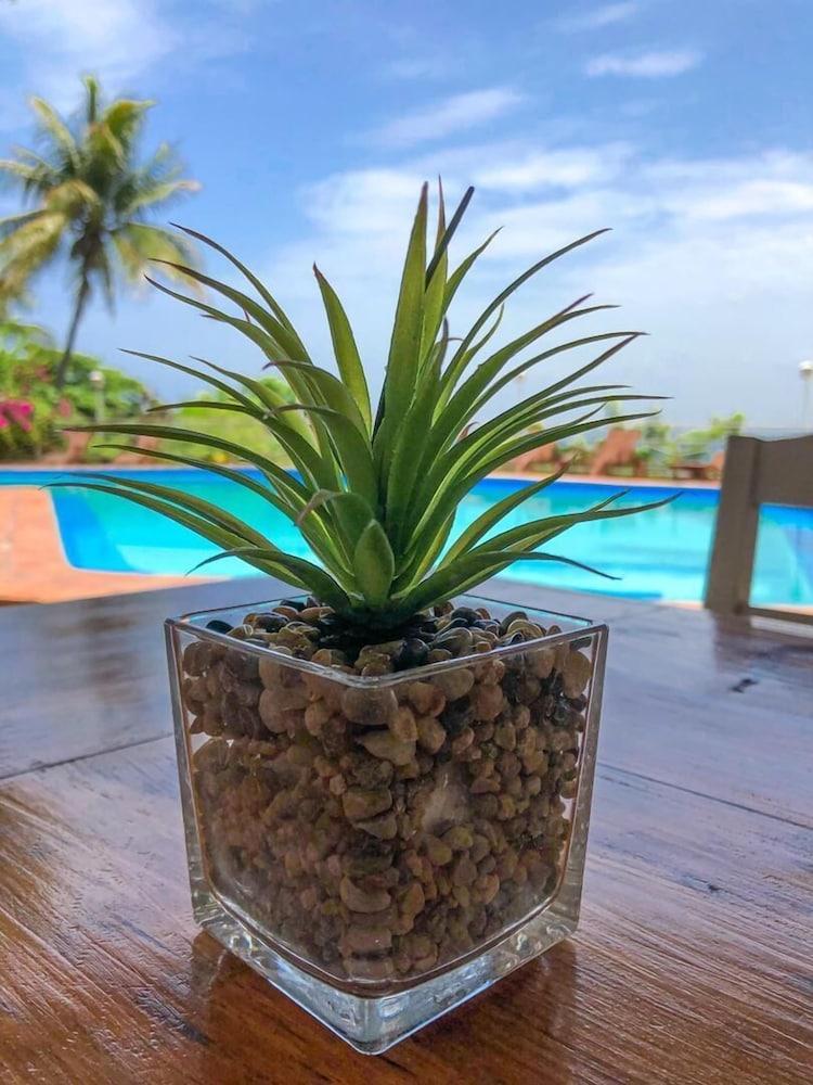 Hotel Mont Joli Cap-Haïtien Eksteriør billede